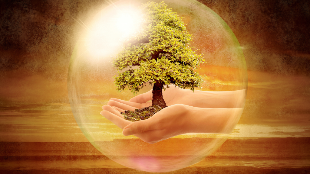environmental resposnibility Environmental Responsibility