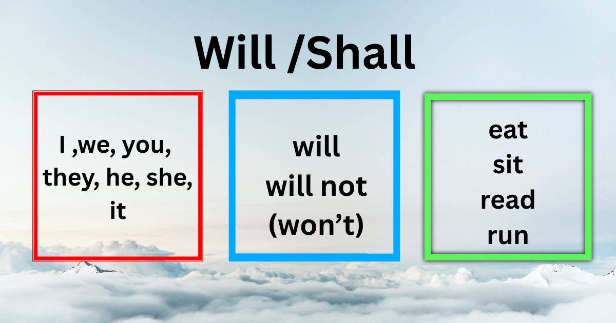 Will shall use