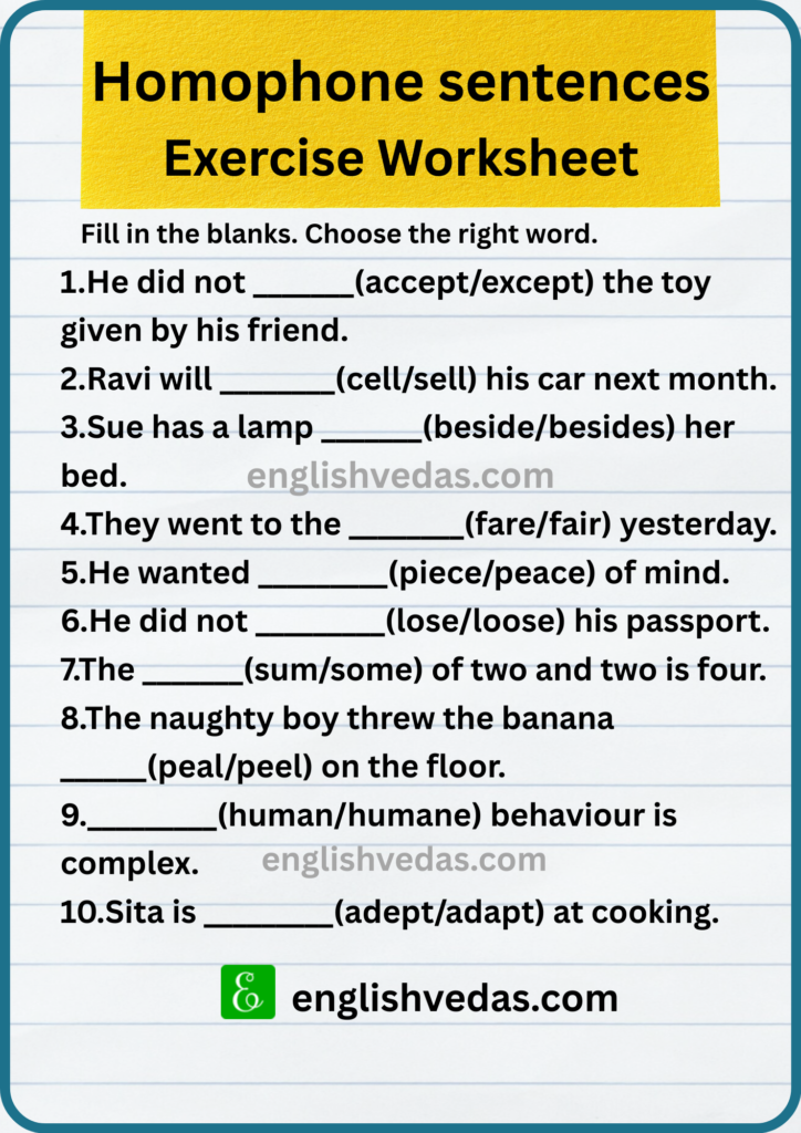 Homophones Sentences Exercise Worksheet