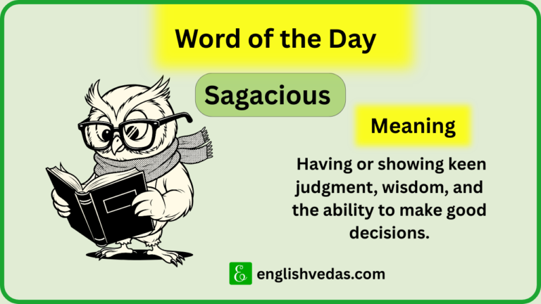 Sagacious Meaning, Synonyms, Antonyms & Examples Word of the Day